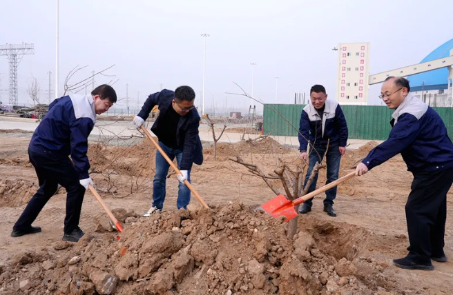 1711923450965202.png 1711952244342.png