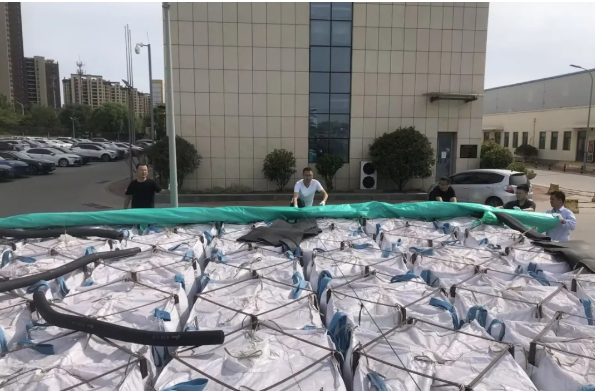 1717725901314422.png 1717725933230.png